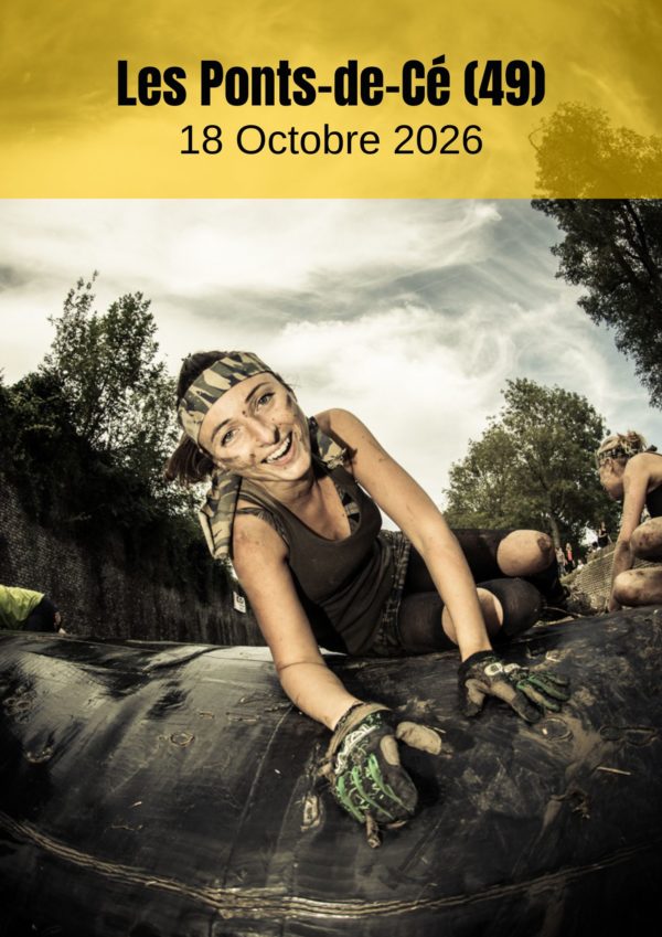 Les Ponts-de-Cé Affiche